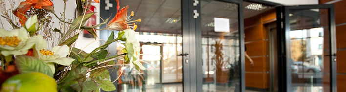 Остекление дверных проемов